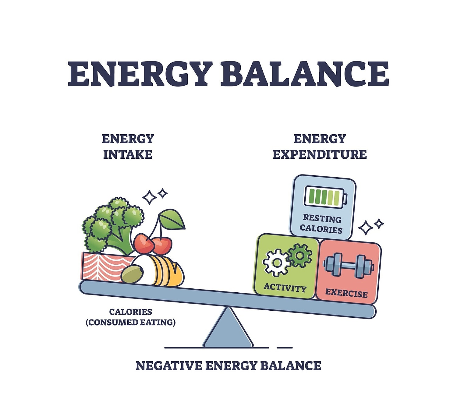 Energy balance: intake versus expenditure graphical representation.